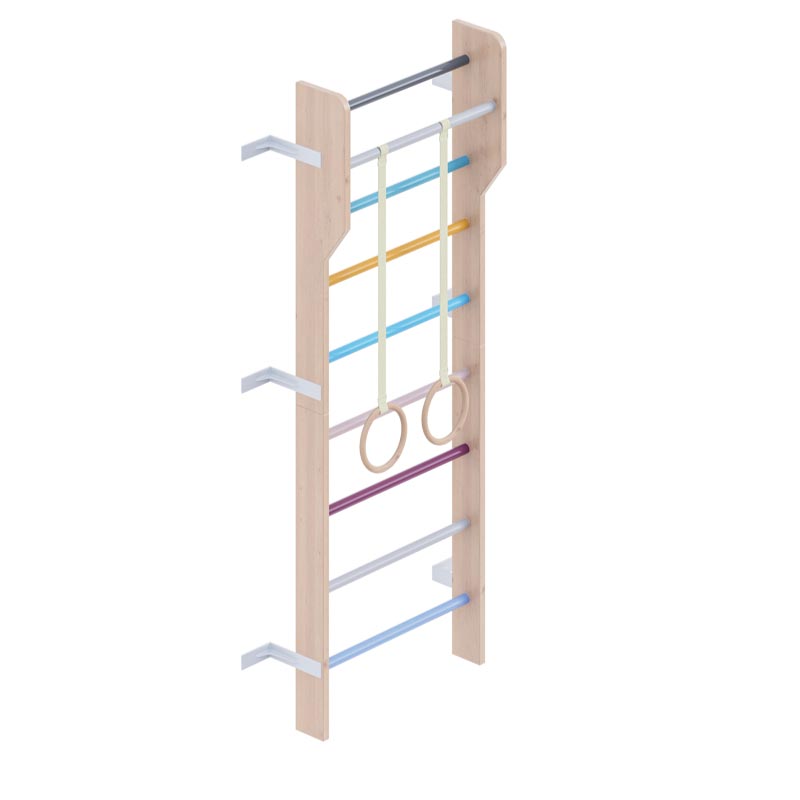 Multicolor-Modern-Scandinavian-Ladder-Gym-1