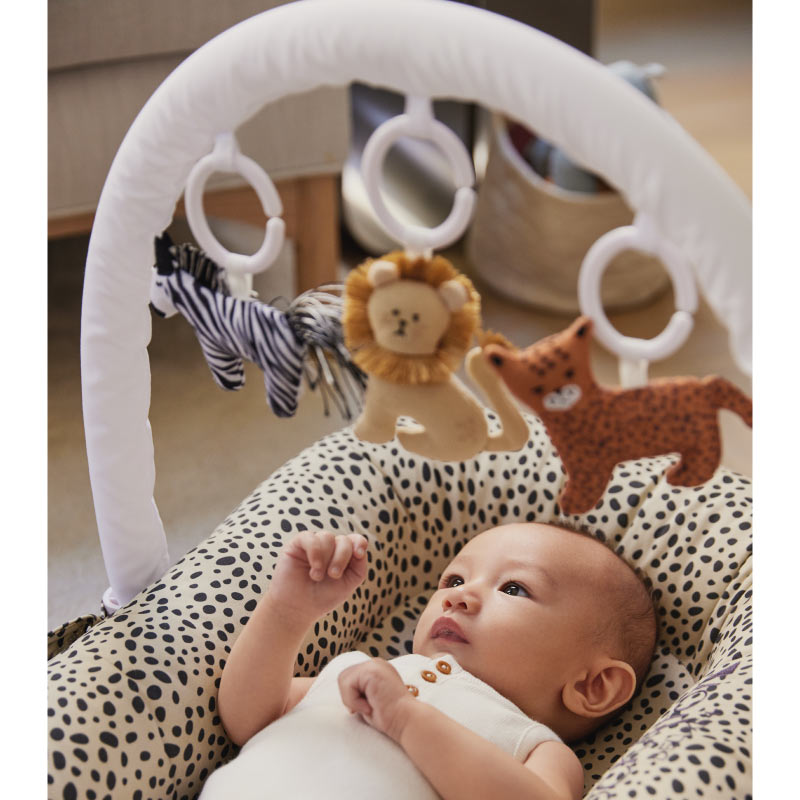 Dockatot-Toy-Bundle-White-Arch-Day-At-The-Zoo-3